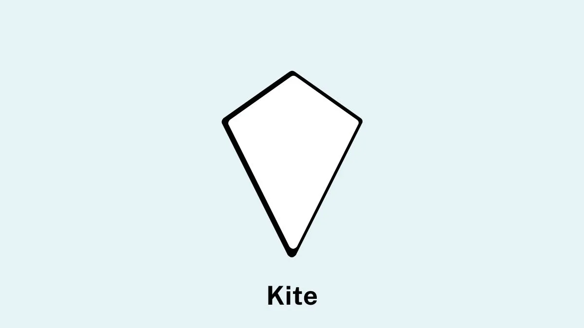 Kite