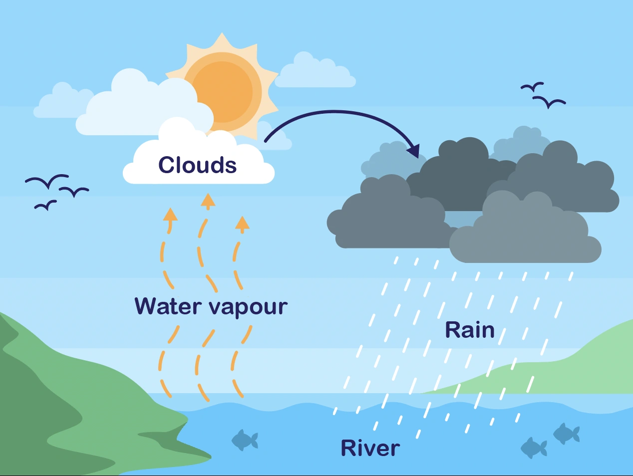 water cycle
