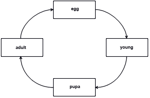 Four-Stage Life Cycle