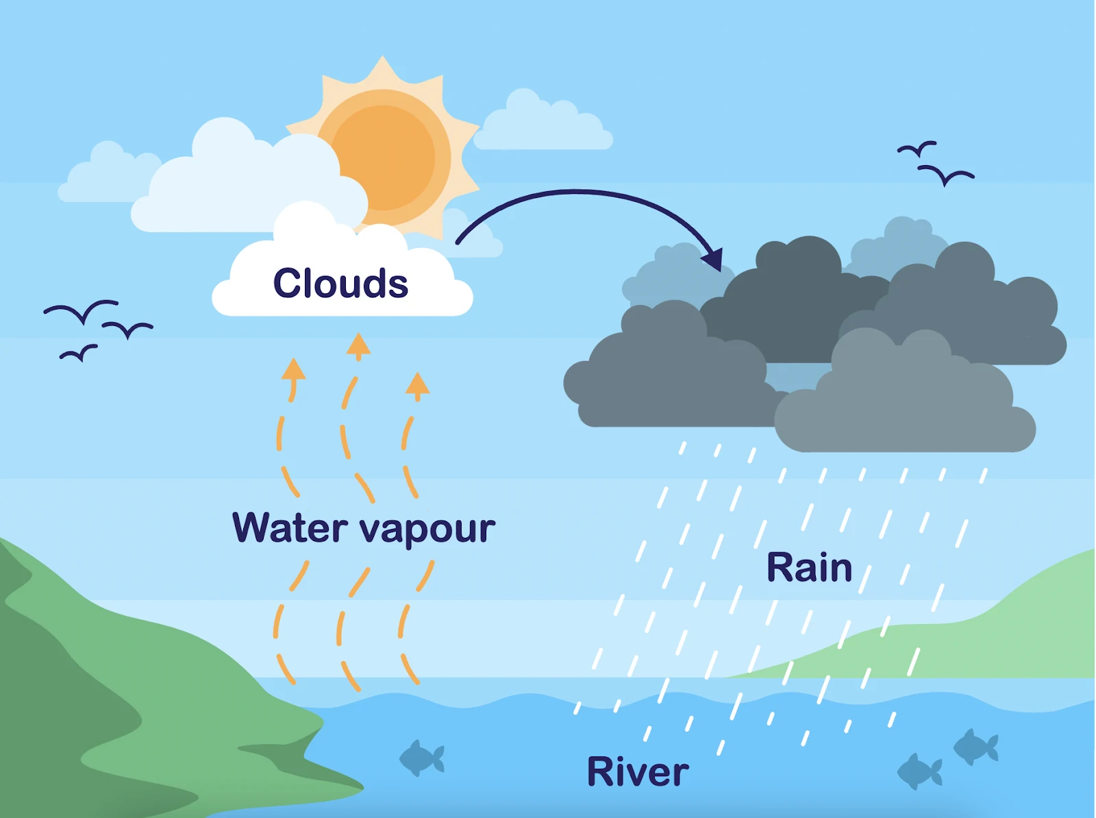 PSLE - P5 - Science - Water Cycle - Pictorial View Of Water Cycle