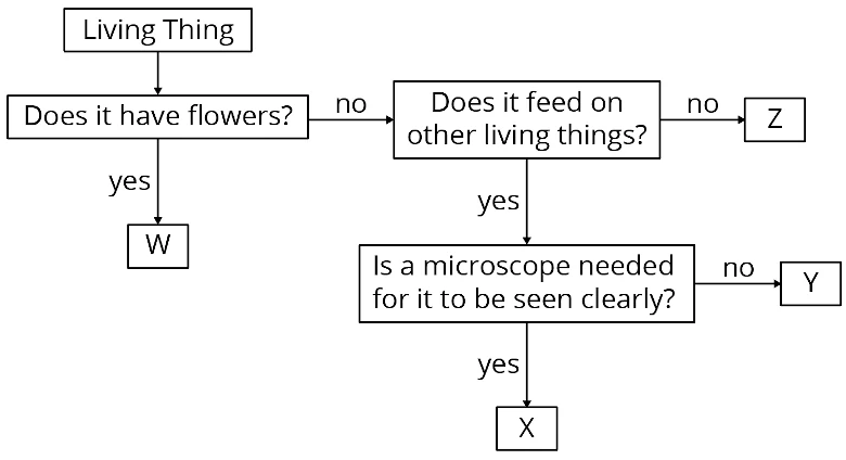 Living things flow chart 1