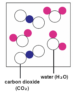 Secondary 3 - Elements, Compounds And Mixtures - Compound Only Mixture of Carbor Dioxide (CO₂) and Water (H₂O) 
