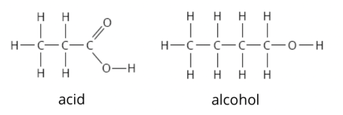 structures of an acid and an alcohol