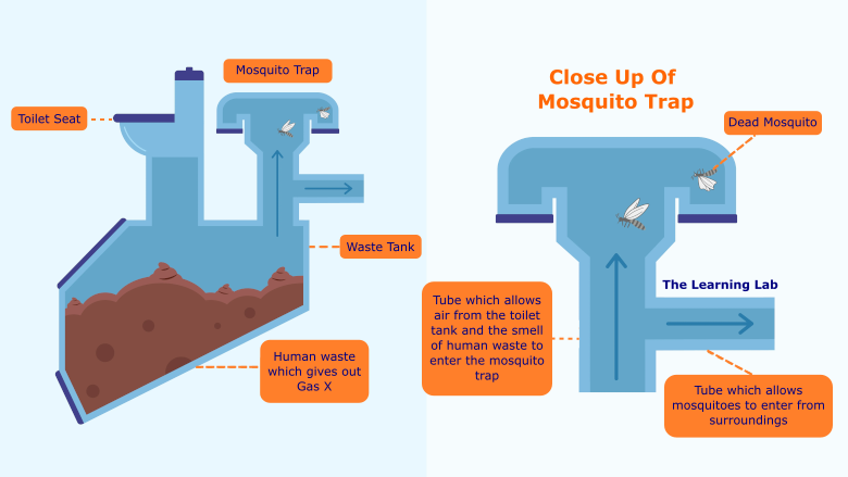 Solving the challenging 2022 PSLE Science mosquito question