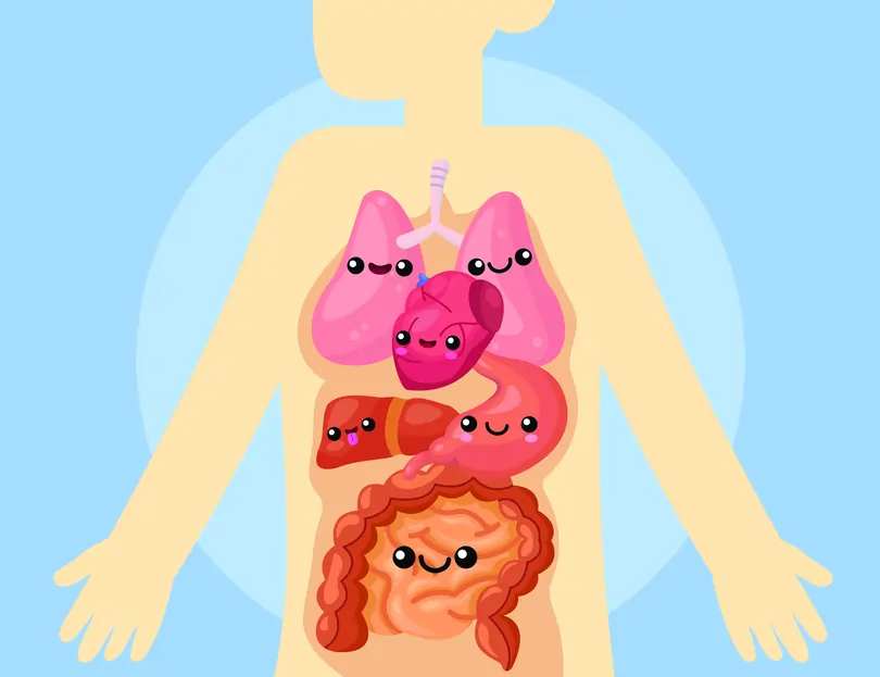 Learn with ChatGPT: Get inside the human digestive system