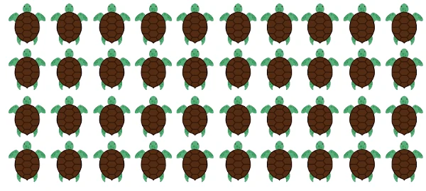 group of turtles