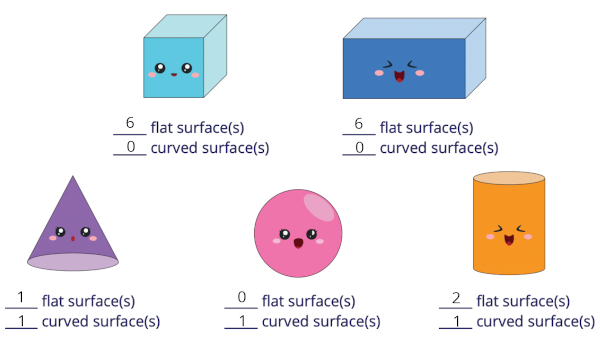 Identify flat and curved surfaces