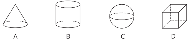 which of the following has no curved surface
