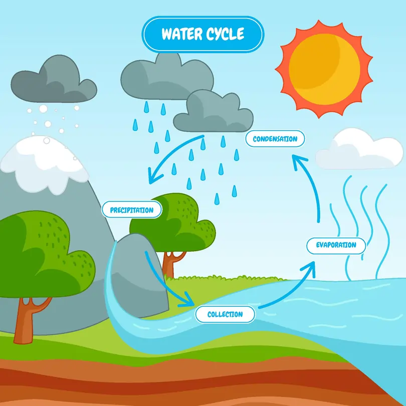 The water cycle: An in-depth exploration of Earth’s hydrological process