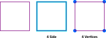 Hình vuông có 4 cạnh và 4 đỉnh bằng nhau.