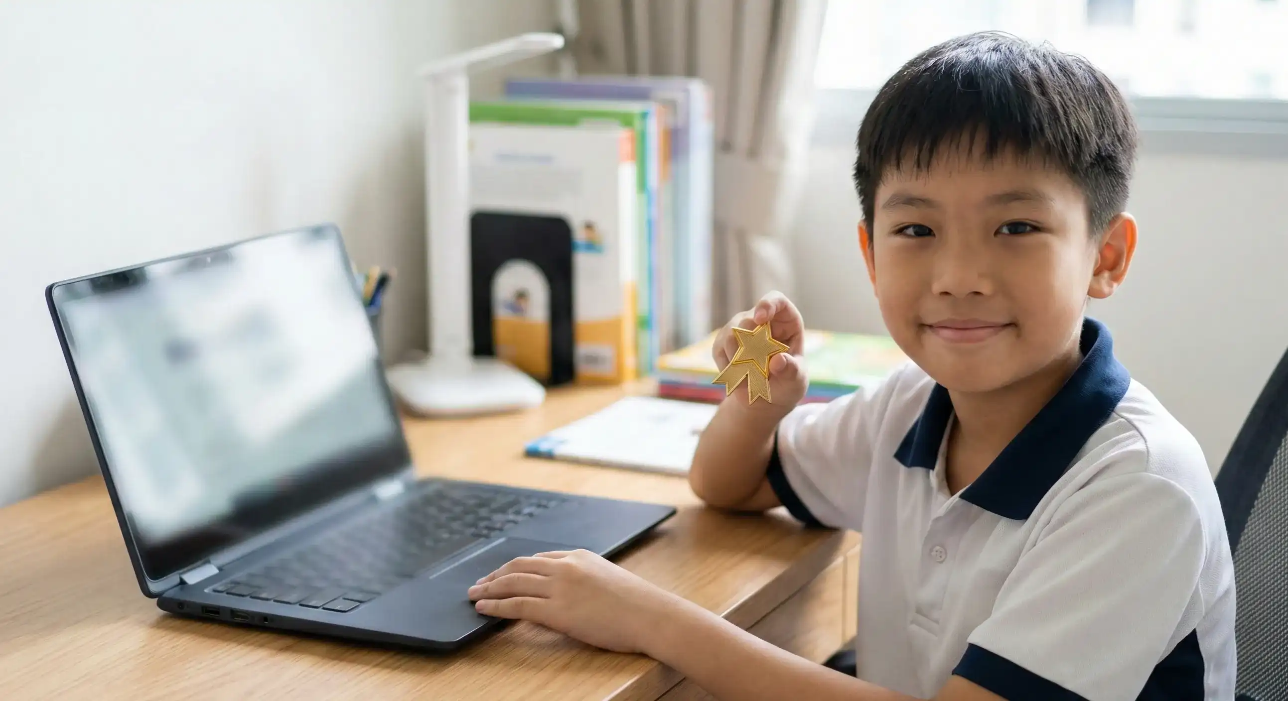 How to Choose the Best Online Tuition for Your Primary School Child