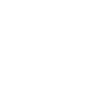 LP signup button shine